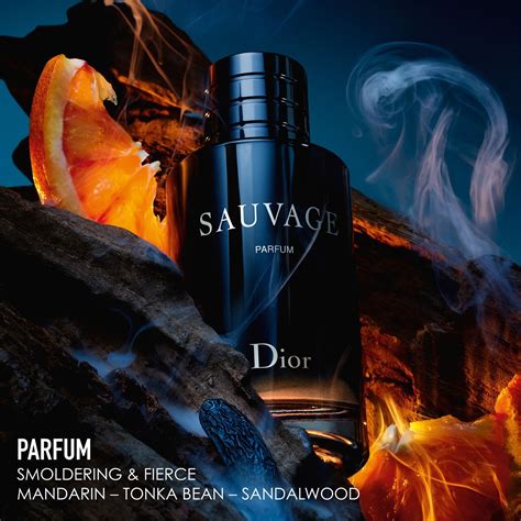 sauvage dior ähnliche parfum|Dior Sauvage unisex.